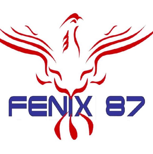 МЦ Феникс 87
