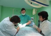 АИППДП ДЕЛЯНА БОРИСОВА ЕООД