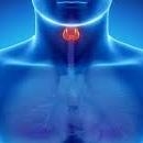 Клиника по ендокринна хирургия