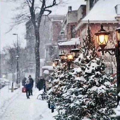 пом.-фарм. Светлозар  Христов